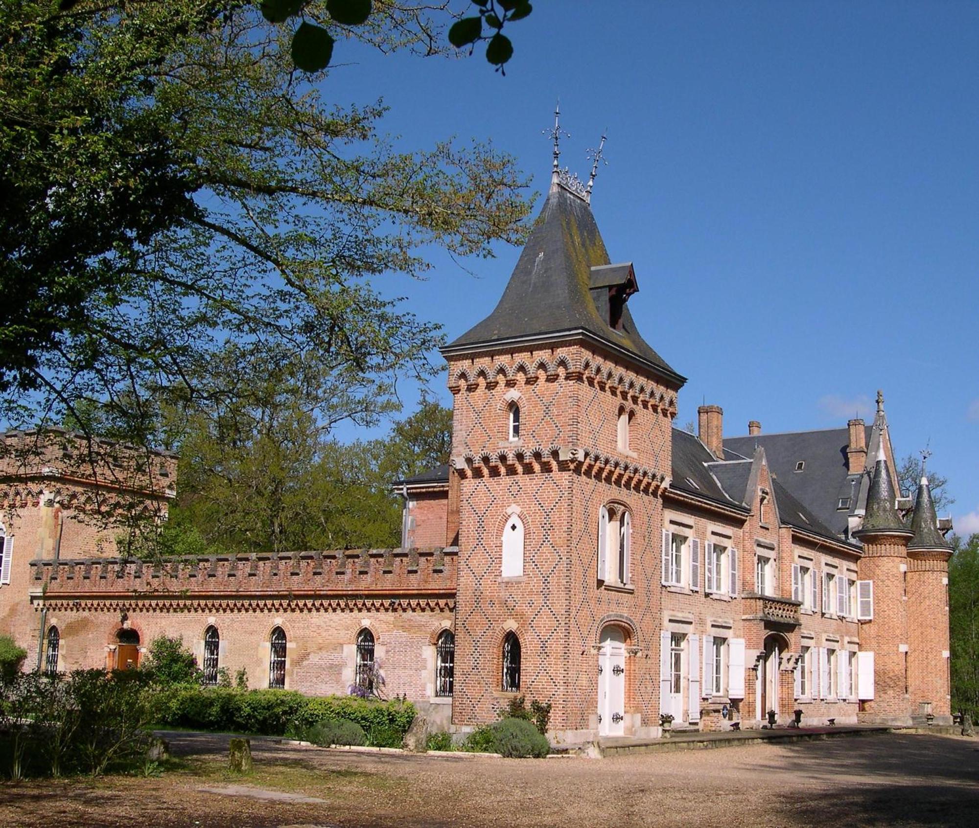 Hostellerie Du Chateau Les Muids La Ferté-Saint-Aubin Eksteriør billede